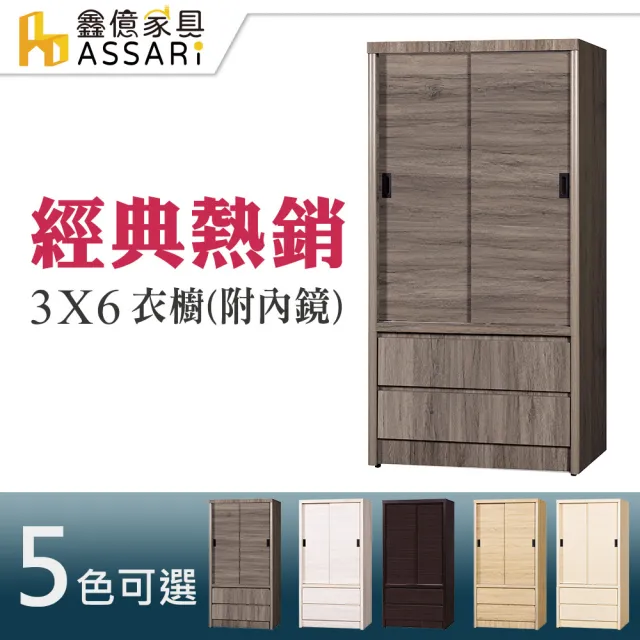 【ASSARI】3*6尺推門2抽衣櫃(附鏡)