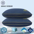 【Hilton 希爾頓】翱翔海軍藍銀纖維石墨烯萊賽爾獨立筒枕/買一送一(枕芯x2+枕套x2/枕頭/透氣枕)