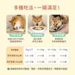 【汪喵星球】熟齡犬低鈉無膠主食罐80g*24入(老犬主食罐/狗罐 熟齡犬)