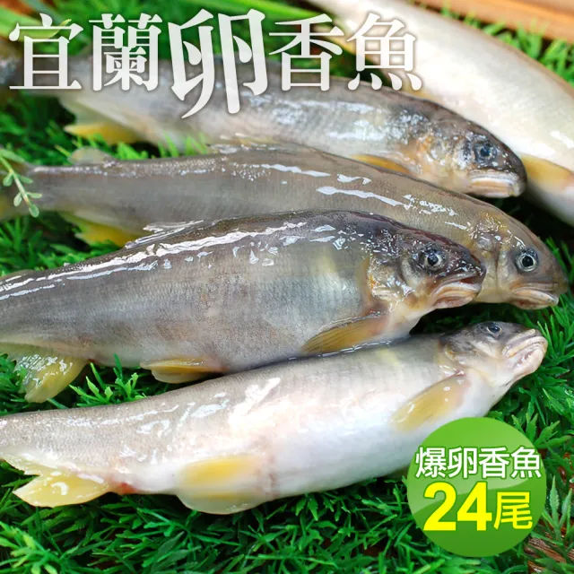 【優鮮配】宜蘭大尺寸爆卵香魚24尾組(12尾/盒 共2盒)