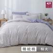 【HongYew 鴻宇】100%精梳棉 兩用被套床包組-艾羅美(雙人特大)