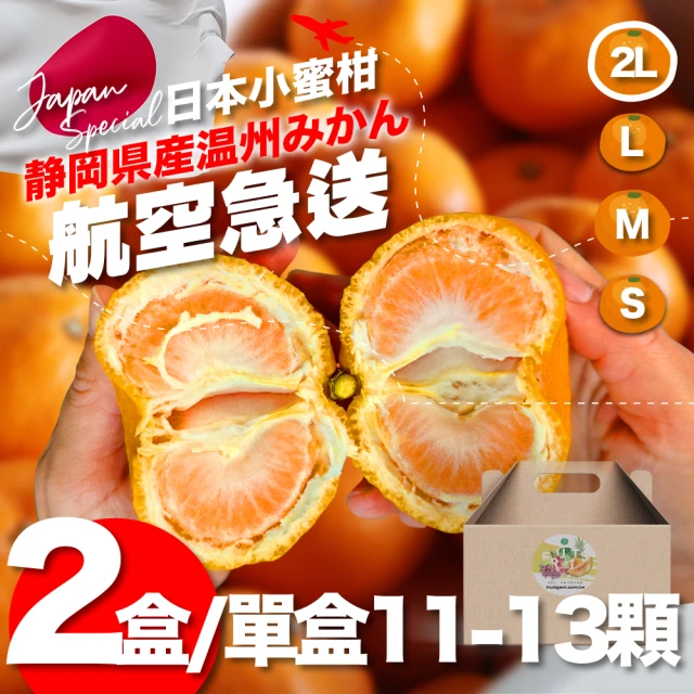 FruitGo 馥果 日本熊本黃金蜜柑S-M100g±10%