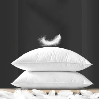 【QIDINA】MIT頂級飯店水鳥羽毛枕頭 高枕-SUD(枕頭 枕 飯店枕頭 枕芯 羽絨枕 枕頭套 高枕頭 低枕頭)