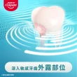 【Colgate 高露潔】抗敏感牙膏120gX2入(強護琺瑯質/清涼薄荷/牙齦護理/潔淨亮白)