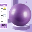 【Kenpai 肯派】75cm瑜珈球 送打氣泵(彈力球 瑜伽球 韻律球 復健球)