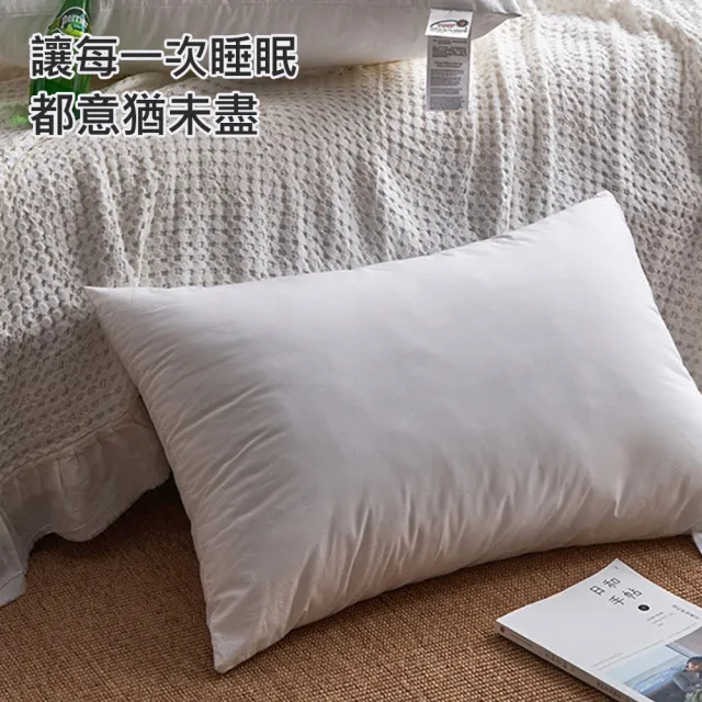 【ALAI 寢飾工場】買1送1 抗菌纖維好眠枕(台灣製/纖維枕/可水洗/飯店枕)