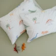 【翔仔居家】100%精梳純棉 床包+枕套-3件組-Dinosaur(雙人)