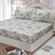 【FITNESS】精梳棉雙人加大床包枕套三件組-醇香莊園(藍/粉 2色任選)