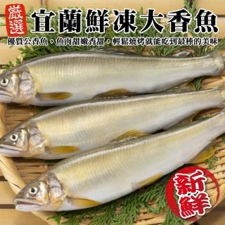 【三頓飯】宜蘭鮮凍大香魚(共16尾 8尾/920g/盒)