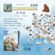【新天鵝堡桌遊】卡卡頌 雪季版CARCASSONNE: WINTER EDITION(全家一起來/越多人越好玩/經典必備款)