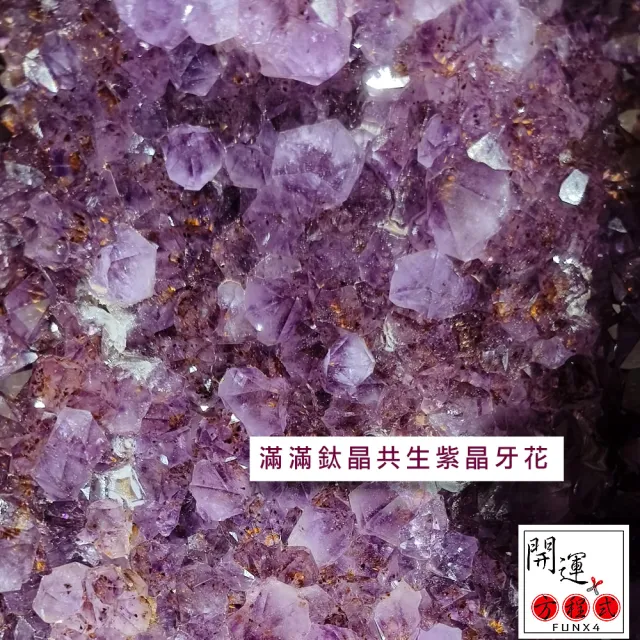 開運方程式】特級紫鈦晶共生紫水晶洞JU404(23.6特殊滿鈦晶共生紫晶洞