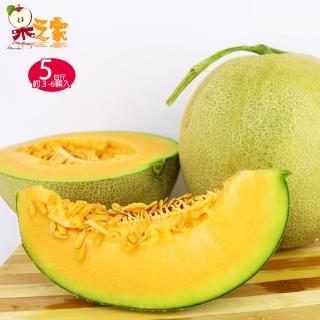 【果之家】臺南七股超甜爆汁網紋紅肉哈密瓜5臺斤(約3-6顆入)