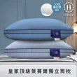 【Hilton 希爾頓】皇家頂級銀離子100支紗萊賽爾獨立筒枕/二色任選(枕芯x1+枕套x1/萊賽爾枕/枕頭)