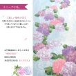 【cosmos】長門簾《繡球花和雨》(日本進口)