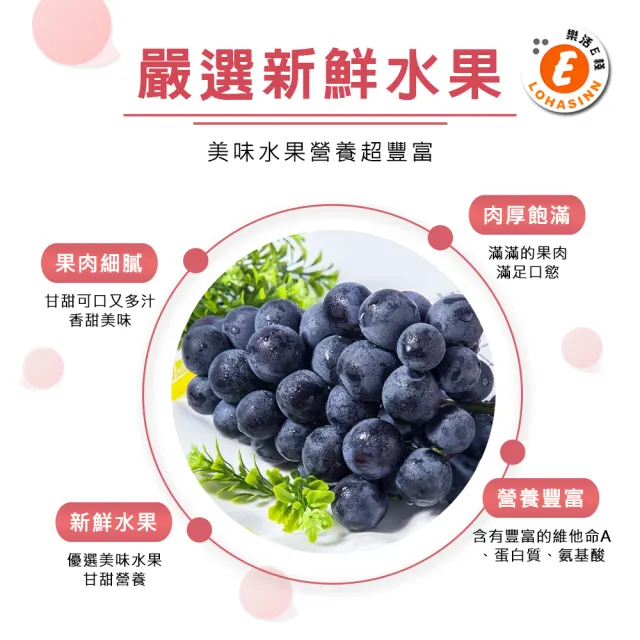 【樂活e棧】繽紛蒟蒻水果冰粽-葡萄口味8顆x3盒(端午 粽子 甜點 全素)