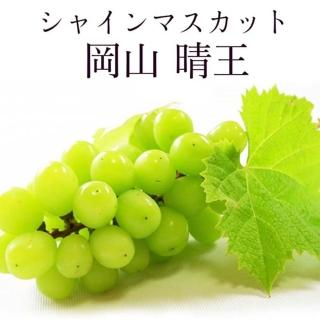 【WANG 蔬果】日本晴王麝香葡萄8-9串x1箱(5kg/箱 原裝箱 空運直送)
