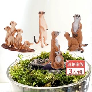 【沐森 Green Life】狐蒙家族3入組 盆栽裝飾 小食玩 公仔 紓壓(3款造型)