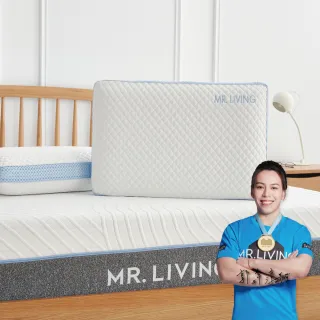 【MR. LIVING 居家先生】買一送一 涼感減壓記憶枕-60*40*14cm(透氣涼感 雙面設計 可拆洗)