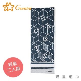 【Gemini 雙星】臺灣製100%純棉-幾何跨界運動毛巾(超值2入組)
