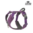 【DOG Copenhagen】Comfort Walk Pro Y型減壓胸背帶-S(防暴衝旗艦款)