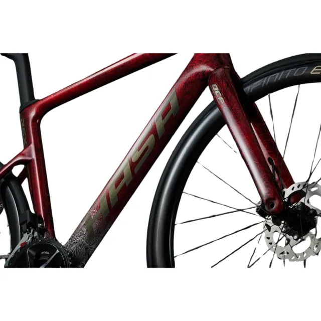 【HASA】RSX 全隱藏走線 碳纖維碟煞公路車 - momo購物網 - 好評推薦 -2025年10月