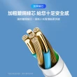【NOKIA】Type-C to Lightning 100cm  iPhone快充充電傳輸線/雙線套組(E8101 Combo)