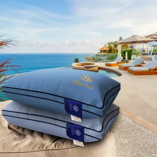 【Hilton 希爾頓】皇家頂級銀離子100支紗萊賽爾獨立筒枕/兩色任選(萊賽爾枕/枕頭/助眠枕/舒柔枕)