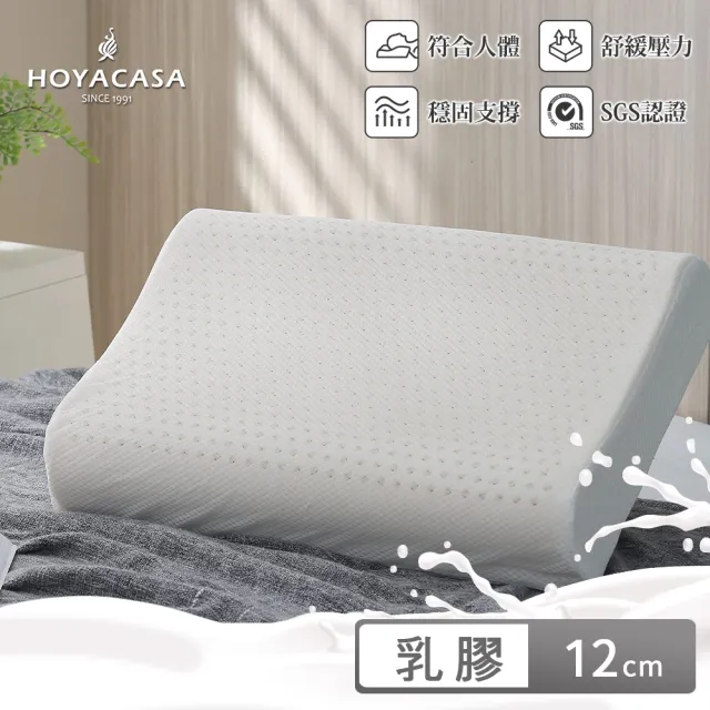 【HOYACASA】100%泰國天然乳膠枕1入-附舒柔布套、手提收納袋(多款任選 超值首選)