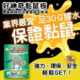 【好神奇】超黏黏鼠板10片裝(足30G膠水/展開大尺寸/環保衛生/加厚紙板)