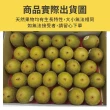 【水果達人】紐西蘭黃金奇異果30顆禮盒1箱(3kg±10%/禮盒裝)