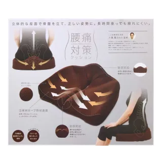【台隆手創館】日本護腰機能坐墊骨盆枕(咖啡/藍/粉)