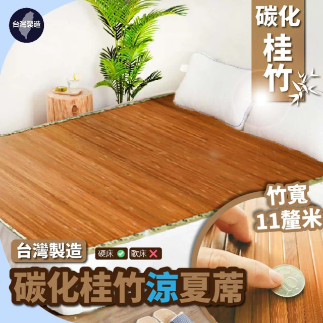 BOSS BEDDING 小老闆寢具 雙人加大6尺防蚊消暑碳