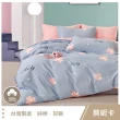 【這個好窩】台灣製100%精梳純棉被套床包組(單人/雙人/加大)