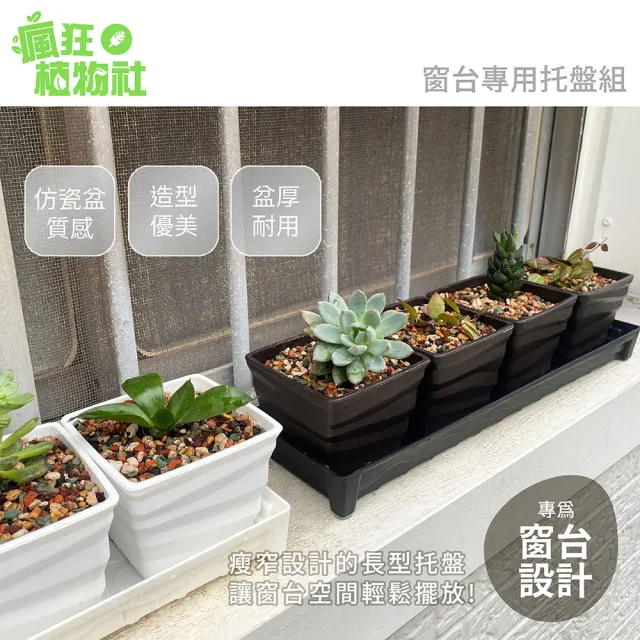 【超值典雅窗台花盆】波紋花盆x可排水托盤組合(盆厚耐用 多肉 觀葉 陽台)