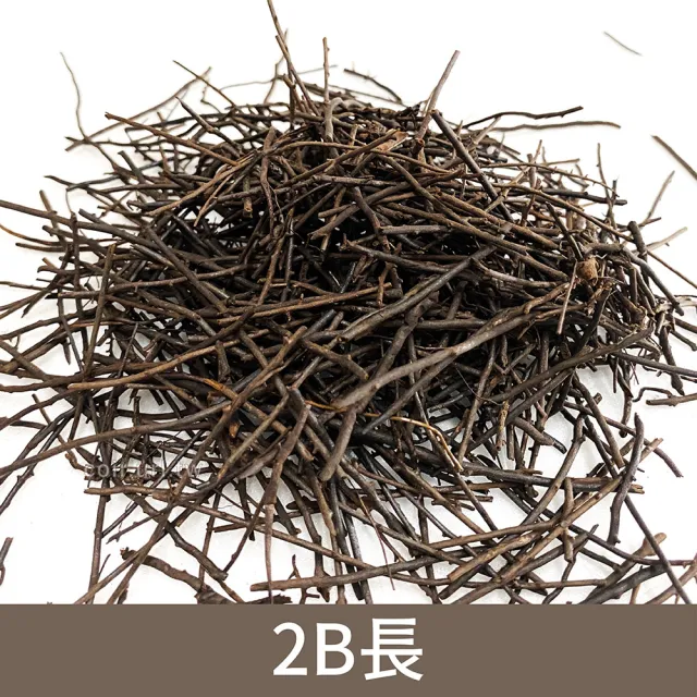 【瘋狂植物社】蛇木屑2公升裝-2B長(可混合土壤調整特性)