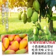 【WANG 蔬果】台灣嚴選西施芒果4-6顆x1箱(5斤/箱)
