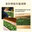 【龍源茶品】台灣碧螺春綠茶手採高山茶葉3袋組-100g/袋(春茶;嚴選杉林溪高山茶種;甘甜清香台灣綠茶)