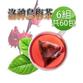 【參大王】洛神烏梅茶包X6組（6gX10入/組）長效期版(促進新陳代謝 開胃 油切解膩 天然快樂人身)