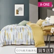 【A-ONE】買一送一 100%純天絲 床包枕套組-台灣製(單人/雙人/加大 均一價-多款任選)