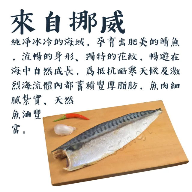 【賣魚的家】正宗特上挪威鯖魚片10片組(170-200g/片)