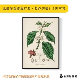 【菠蘿選畫所】小果咖啡插畫 - 50x70cm(廚房裝飾掛畫/客廳裝飾/玄關掛畫/房間掛畫)