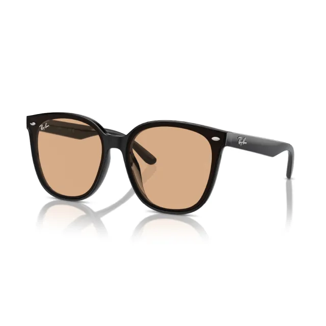 【RayBan 雷朋】大鏡片 膠框 太陽眼鏡 墨鏡(RB4423D 601/87、 645087、 601/93)