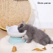 【Dido pets】馬卡龍護頸陶瓷寵物碗 貓碗(PT182)