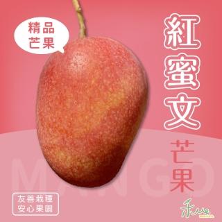 【我在枋山種芒果】光合菌蜜雪芒果禮盒(大果8-10顆/5斤)