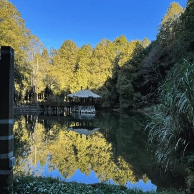 【吉航旅遊】阿里山小火車隙頂二延平步道佐登妮絲城堡阿里山英迪格仁義湖岸酒店三日