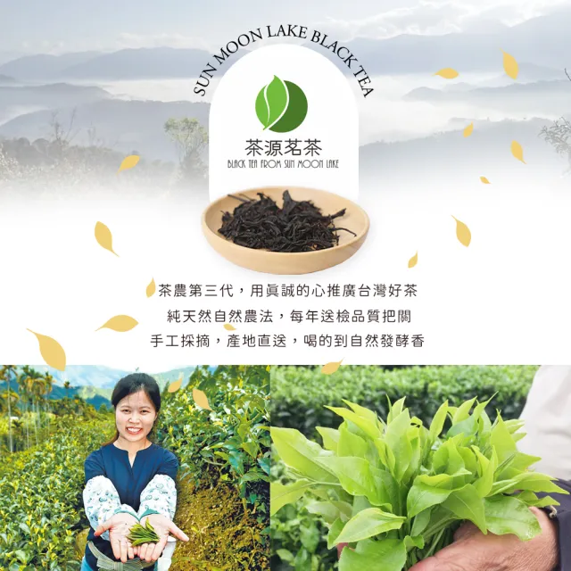 【茶源茗茶】小農直送日月潭阿薩姆紅茶 台茶8號 100公克(中秋禮盒 茶葉 熱冷泡茶)