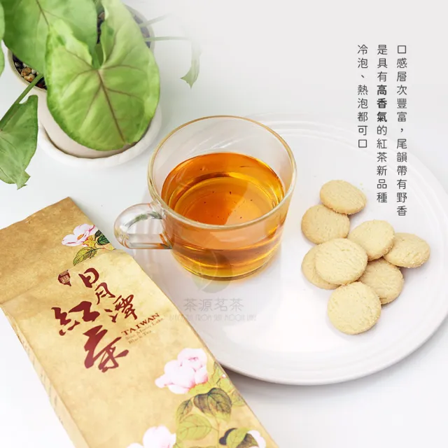 【茶源茗茶】小農直送日月潭紅韻紅茶 台茶21號 100公克(伴手禮盒 中秋禮盒 茶葉 紅韻 台21 冷泡茶 熱泡茶)