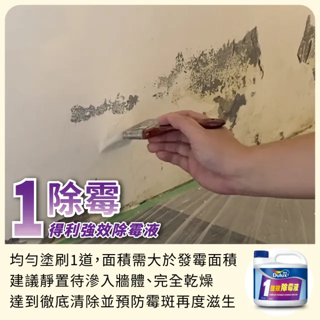 【得利】Dulux官方旗艦店★6坪 全效合一乳膠漆+壁癌包組合(油漆 壁癌漆)