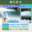 【蘇班長安心石斑】龍虎石斑鮮魚條凍700g 3入組 歐盟食安標準 得獎最多的石斑(龍虎石斑 龍膽石斑 永安石斑)