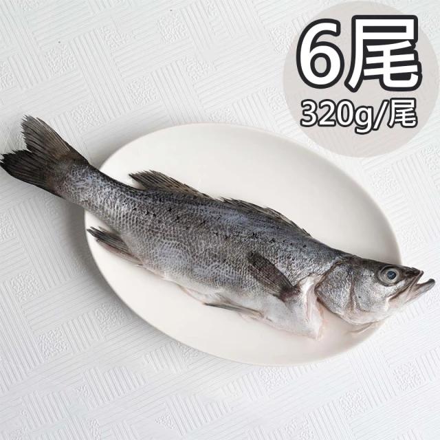 天和鮮物 日本真鱸6包(320g/尾) 推薦